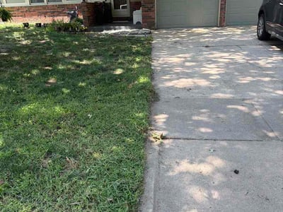 Lawn Care service in Hoboken, 07030