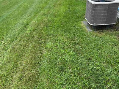 Lawn Care service in Superior, 54880