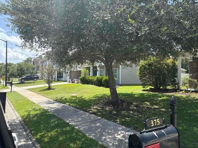 Lawn Care service in Richmond Hill, 11418