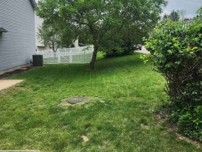 Lawn Care service in Richmond Hill, 11418