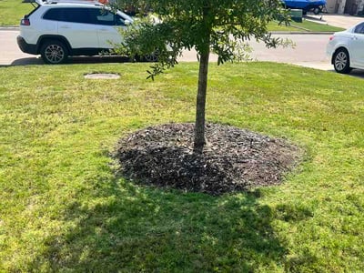 Lawn Care service in Belton, 76513