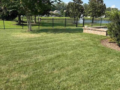 Lawn Care service in Bristol, 37620