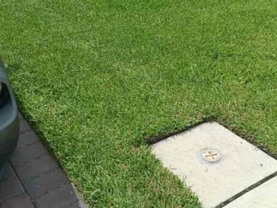 Lawn Care service in Los Banos, 93635