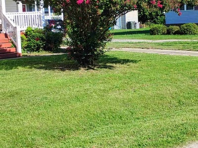 Lawn Care service in Bristol, 37620