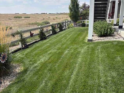 Lawn Care service in Bronx, 10462