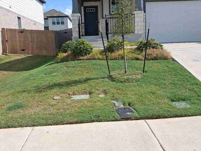 Lawn Care service in Bronx, 10462