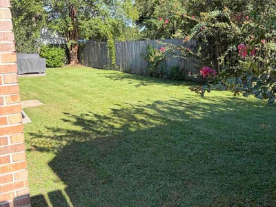 Lawn Care service in Niceville, 32578