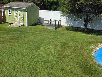 Lawn Care service in Fresh Meadows, 11366