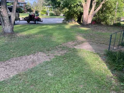 Lawn Care service in Hilton Head Island, 29926