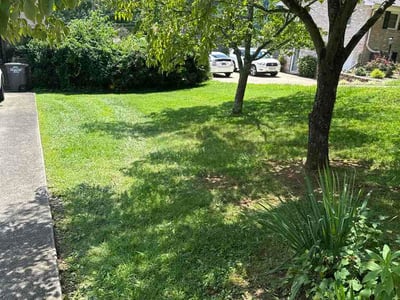 Lawn Care service in Rogersville, 37857