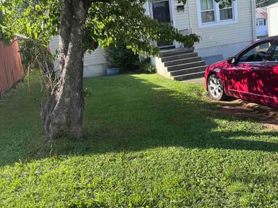 Lawn Care service in Rogersville, 37857