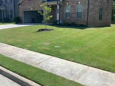 Lawn Care service in Atwater, 95301