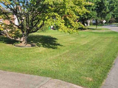 Lawn Care service in Ashland, 41101