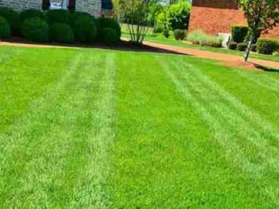 Lawn Care service in Houma, 70360