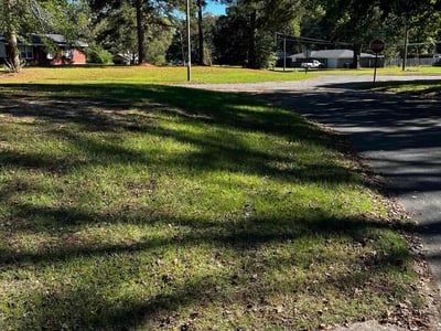 Lawn Care service in Houma, 70360