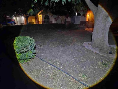 Leaf Removal service in Gilbert, 85295