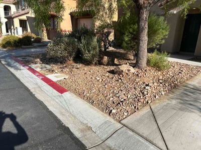 Leaf Removal service in Gilbert, 85295