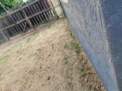 Leaf Removal service in Gilbert, 85295