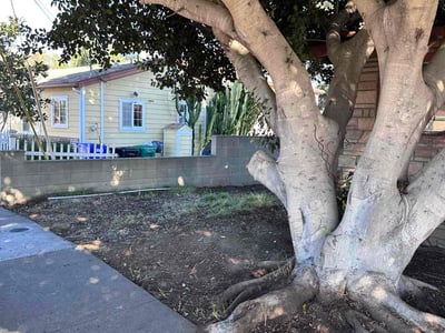 Leaf Removal service in Gilbert, 85295