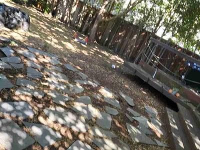 Leaf Removal service in Gilbert, 85295