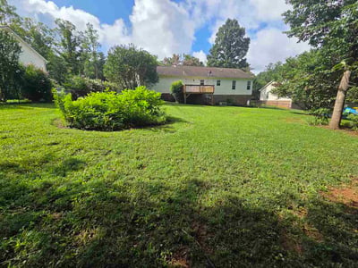 Lawn Care service in Lenoir, 28645