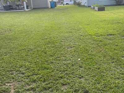 Lawn Care service in Beaufort, 29902