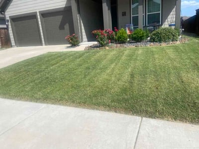 Lawn Care service in Lancaster, 75146