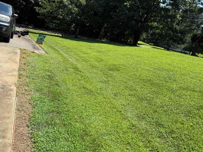Lawn Care service in Lenoir, 28645