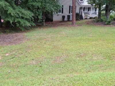 Lawn Care service in Macon, 31201