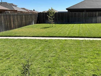 Lawn Care service in Lubbock, 79401