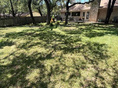 Lawn Care service in Del Valle, 78617