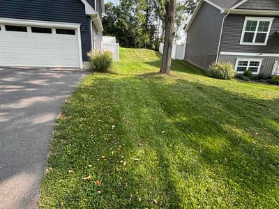 Lawn Care service in Martinsburg, 25401
