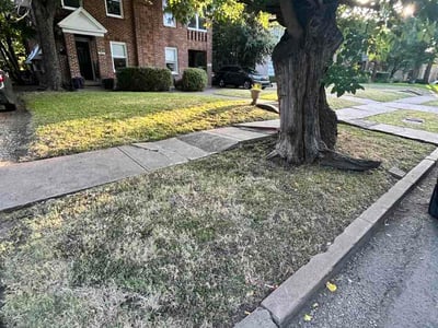 Leaf Removal service in Frisco, 75033
