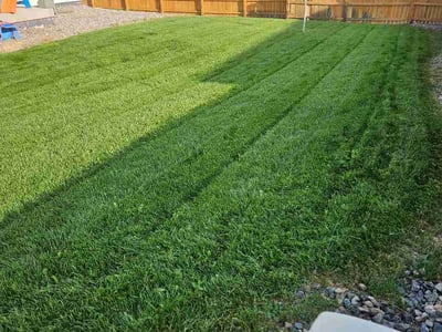 Lawn Care service in Greeley, 80631