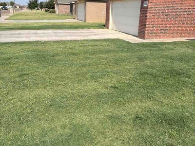 Lawn Care service in Lubbock, 79401
