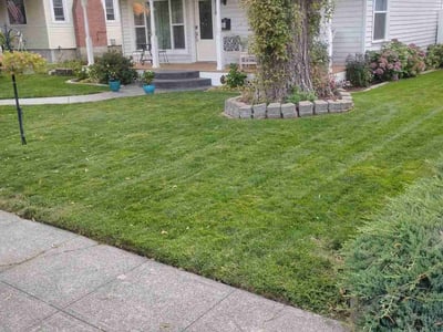 Lawn Care service in Wenatchee, 98801
