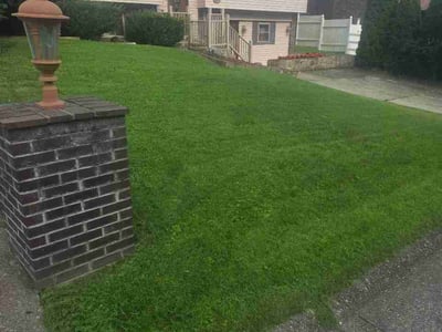 Lawn Care service in Saint Albans, 25177