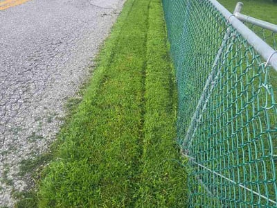Lawn Care service in Saint Albans, 25177