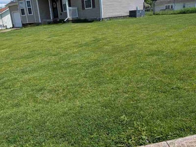 Lawn Care service in Hopkinsville, 42240