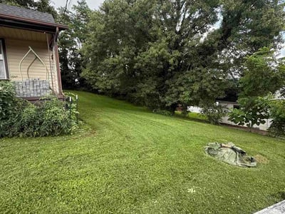 Lawn Care service in Bristol, 37620