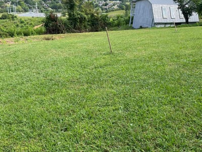 Lawn Care service in Bristol, 37620