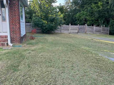 Lawn Care service in Bristol, 37620