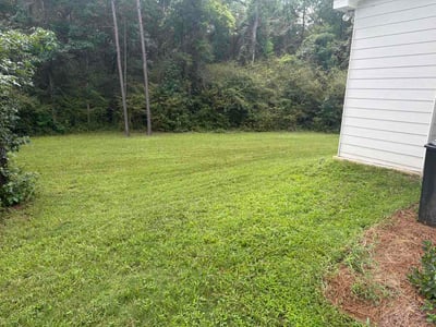 Lawn Care service in Columbus, 31901