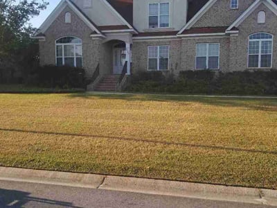 Lawn Care service in Florence, 29506
