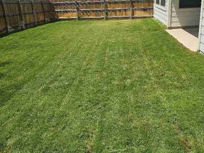 Lawn Care service in Harker Heights, 76548