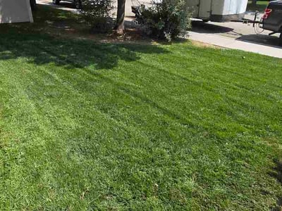 Lawn Care service in Boise, 83702
