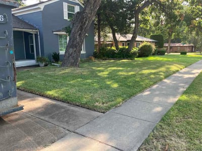 Lawn Care service in Garland, 75040
