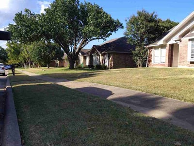 Lawn Care service in Garland, 75040