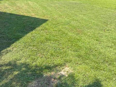 Lawn Care service in Darlington, 29532