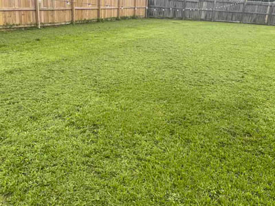 Lawn Care service in Lumberton, 28358